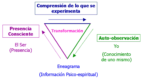 Transformación en el Eneagrama